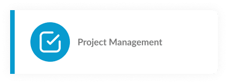 PROJECT MANAGEMENT ICON