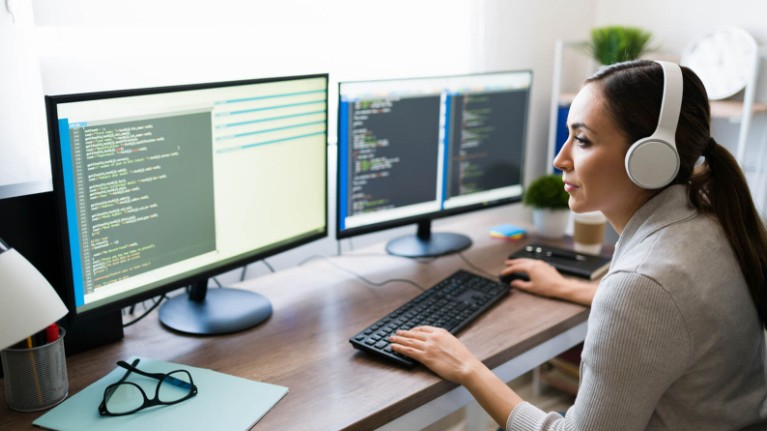 Software developer staffing
